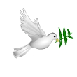 Petit test